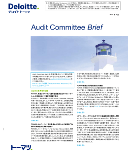 Audit Committee Brief