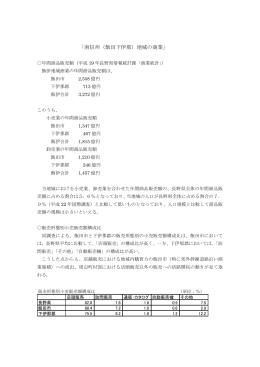 （飯田下伊那）の地域の商業（平成25年5月）（PDF形式）