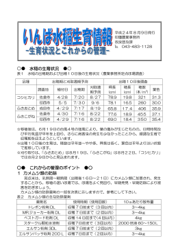 いんば水稲生育情報4[8月9日]（PDF：158KB）