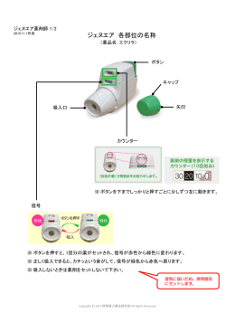 ジェヌエア 各部位の名称