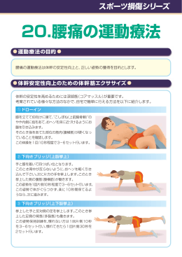 20.腰痛の運動療法 - 日本整形外科スポーツ医学会