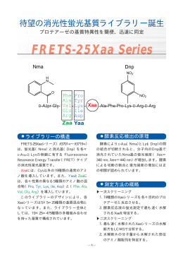 FRETS-25Xaa Series