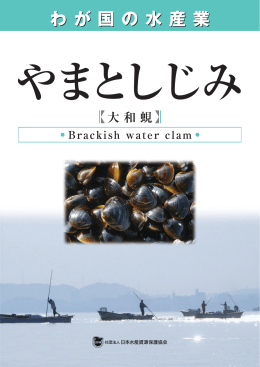 やまとしじみ - 日本水産資源保護協会