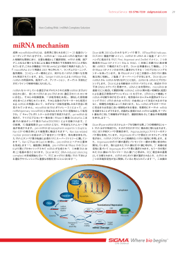miRNA mechanism - Sigma