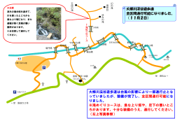 大柳川渓谷遊歩道は台風の影響により一部通行止とな っていましたが