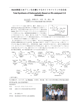 Rh(II)触媒 C-H アミノ化を鍵とするカイトセファリンの全合成 Total