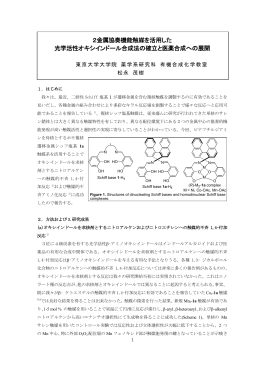 2金属協奏機能触媒を活用した 光学活性オキシインドール合成法の確立