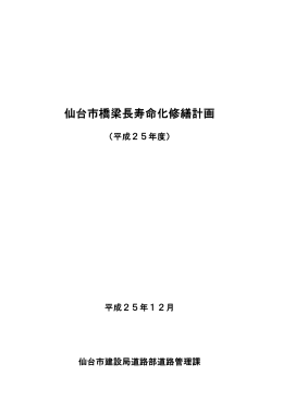 仙台市橋梁長寿命化修繕計画（平成25年度） （PDF：2995KB）