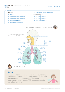 肺-p1/9