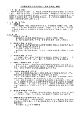 京都府薬物の濫用の防止に関する条例概要（PDF）