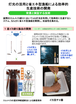 昼間のスルメイカ釣りにおいてLED灯光を利用して効率的に生産するシ