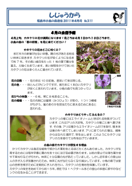 2011年4月号 - 福島市 小鳥の森