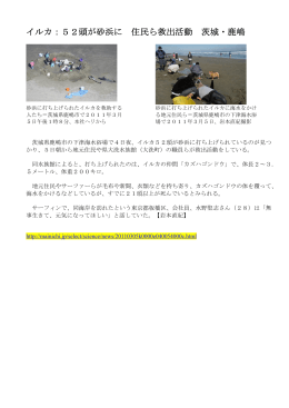 イルカ：52頭が砂浜に 住民ら救出活動 茨城・鹿嶋