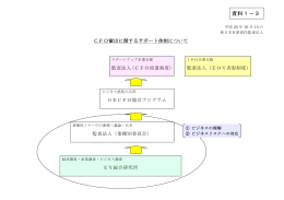 新日本有限責任監査法人資料（PDF:31KB）