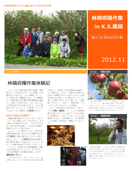 林檎収穫作業 in K.S.農園