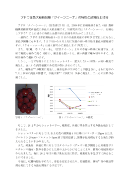 ブドウ赤色大粒新品種「クイーンニーナ」の特性と品質向上技術