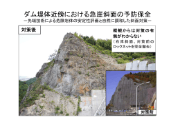 ダム堤体近傍における急崖斜面の予防保全