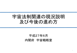 28 - 日本リモートセンシング学会