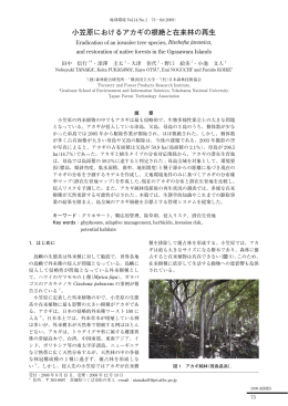 小笠原におけるアカギの根絶と在来林の再生