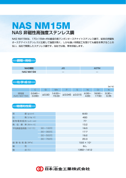 NAS NM15M製品情報