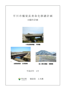 平川市橋梁長寿命化修繕計画(PDF 397KBytes)