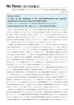 My Thesis（私の学位論文）