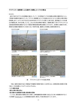 アクアリフト・硫黄菌による海岸に堆積したヘドロの除去