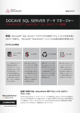 DocAve 6 SQL Server データ マネージャー