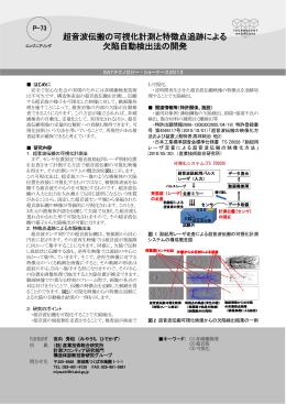 超音波伝搬の可視化計測と特徴点追跡による 欠陥自動検出法の開発