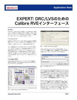 EXPERT: DRC/LVSのための Calibre RVEインターフェース