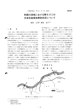 利根川流域における野ネズミの 日本住血吸虫感染状況について