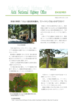 新緑の季節!!「犬山八曽自然休養林」でハイキングはいかがですか？