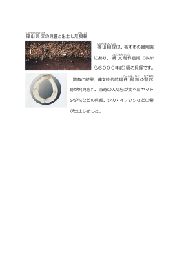 篠山 貝塚 の貝層と出土した貝 輪 篠山 貝塚 は、栃木市の最南端 にあり