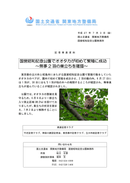 国営昭和記念公園でオオタカが初めて繁殖に成功 ∼無事 2 羽の巣立ち