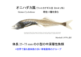 体長 25~75 mm の小型の中深層性魚類