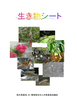 PDF形式 約6.4MB - 栃木県農地水多面的機能保全推進協議会
