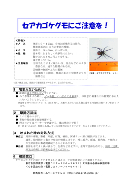 セアカゴケグモにご注意を！(群馬県自然環境課)(PDF文書)