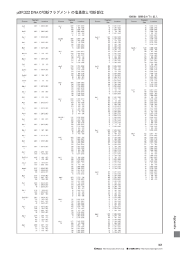 pBR322 DNAの切断フラグメントの塩基数と切断部位