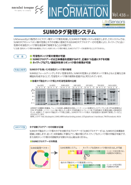 Information-438-11 sumo 01