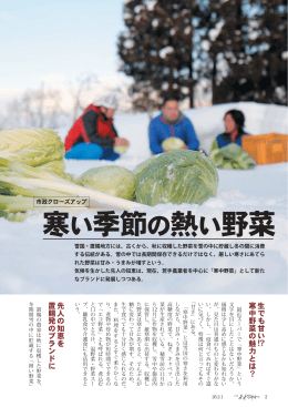 寒い季節の熱い野菜