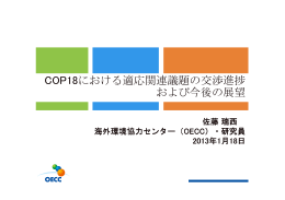 COP18における適応関連議題の交渉進捗 および今後の展望