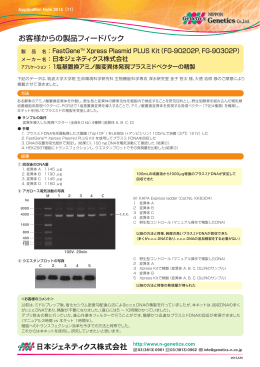 1塩基置換アミノ酸変異体発現プラスミドベクターの精製/日本語