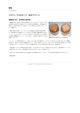 スギやヒノキのおがくず 食用パウダーに:静岡:中日新聞(CHUNICHI Web)