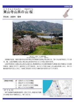 東山寺山系の山桜（PDF：75KB）