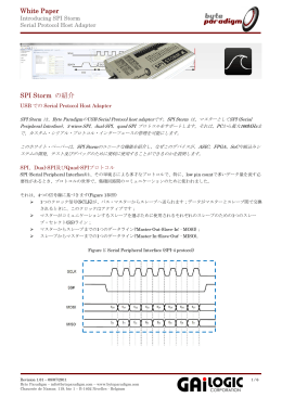 SPI Storm White Paper(日本語)