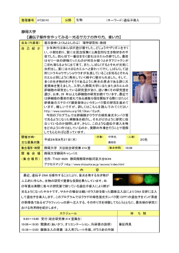 静岡大学 【遺伝子操作をやってみる－光るサカナの作り方，使い方】