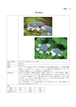 資料1-3 甘茶を原因とする食中毒について（PDF:249KB）