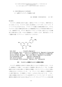 2.生体内吸収成分の分析技術 1）血漿中ケルセチン代謝物の分析 OR