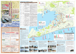 愛知県東三河地域における地震による津波の歴史 表