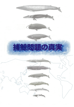 捕鯨問題の真実（日本語）（PDF：5037KB）